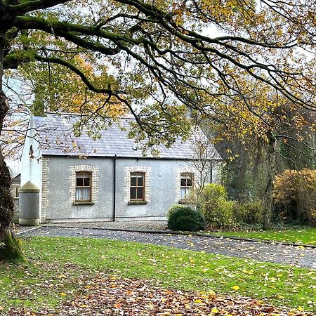 Country Garden House Holiday Homes Ballymoney Exterior photo